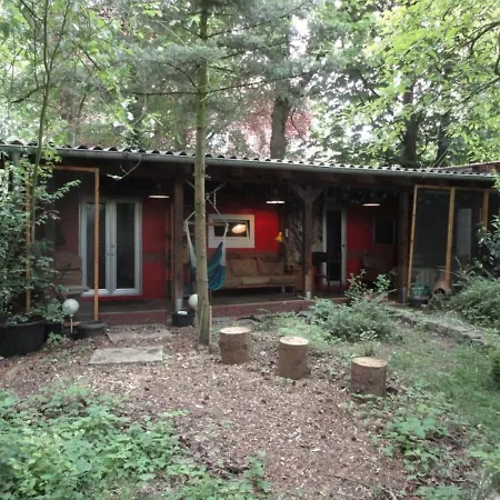 Waldhuette „ponderosa“